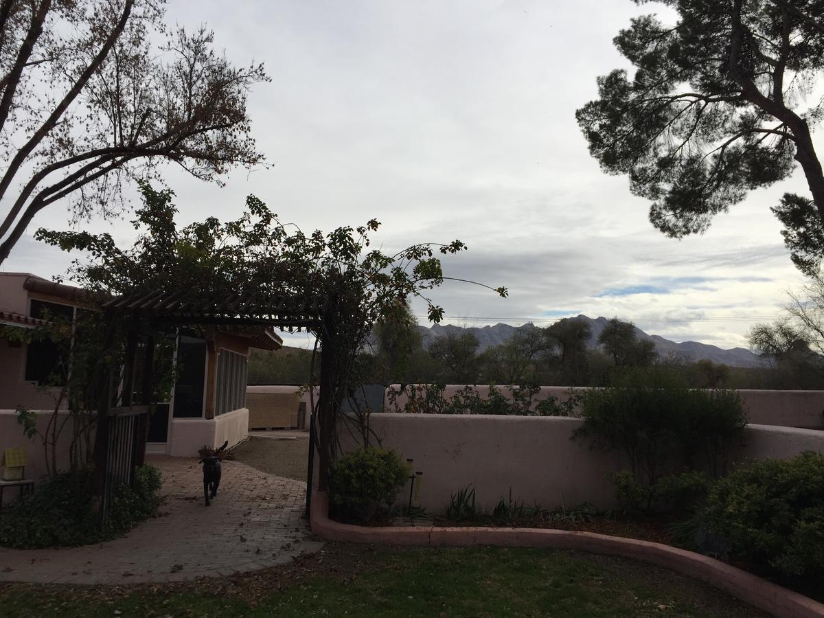 Casa Paloma B&B Tubac Экстерьер фото